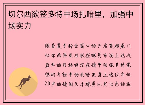 切尔西欲签多特中场扎哈里，加强中场实力