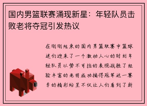 国内男篮联赛涌现新星：年轻队员击败老将夺冠引发热议