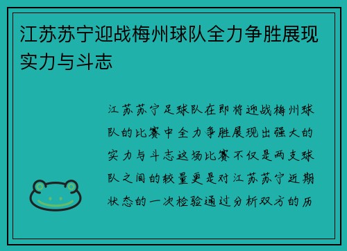 江苏苏宁迎战梅州球队全力争胜展现实力与斗志