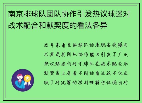南京排球队团队协作引发热议球迷对战术配合和默契度的看法各异
