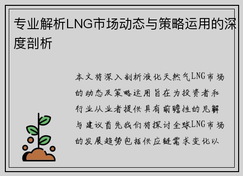 专业解析LNG市场动态与策略运用的深度剖析