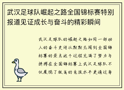 武汉足球队崛起之路全国锦标赛特别报道见证成长与奋斗的精彩瞬间